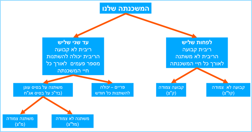 דוגמה להמחשת מסלולי משכנתה